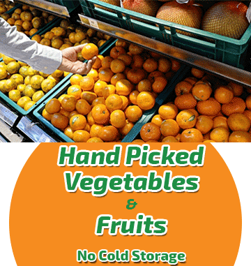 Hand-Picked Veg